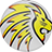 Highveld Lions